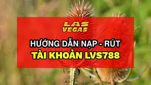 TỔNG HỢP LINK LVS788 VIỆT NAM KHÔNG BỊ CHẶN MỚI NHẤT